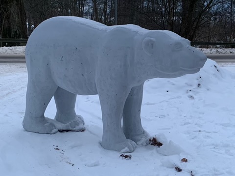 Isbjörn, Ymer expeditionen
